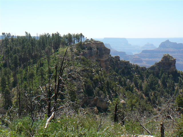 images/Hiking North Rim- Widforss Trail (22).jpg